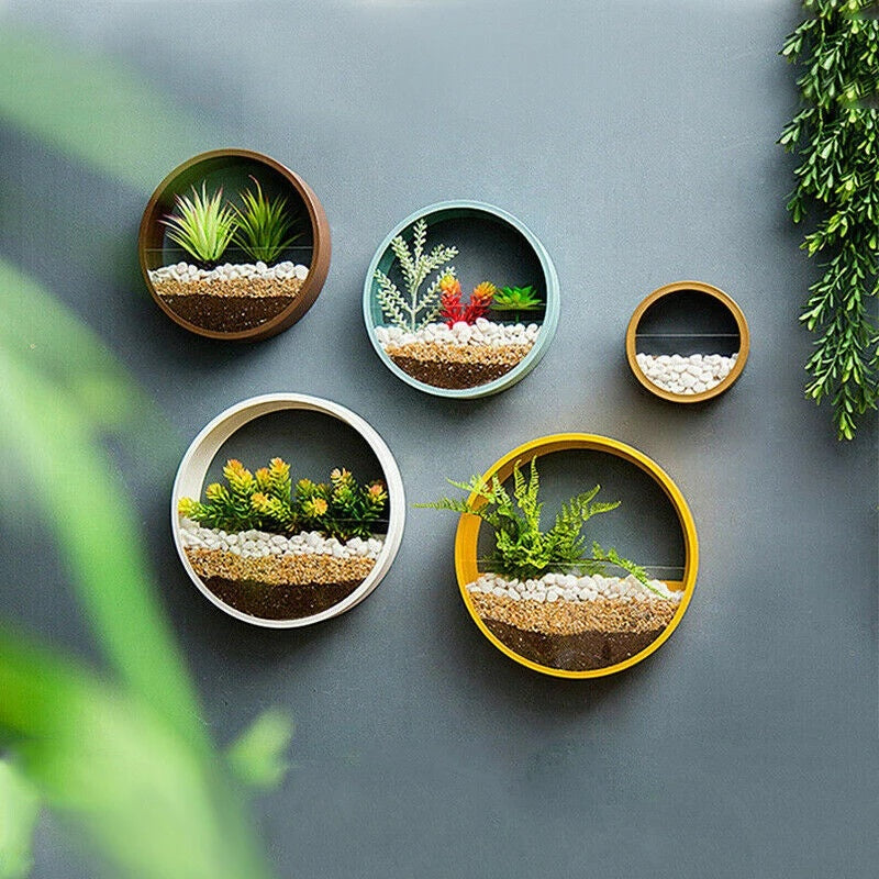 Hanging Basket Flower Pot Wall Decor Succulent Plant Art Glass Vases